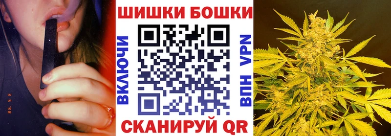 Купить закладку Кокаин  Alpha-PVP  Амфетамин  Меф  Вытегра
