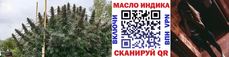 Купить закладки  Вытегра  Дистиллят ТГК концентрат 