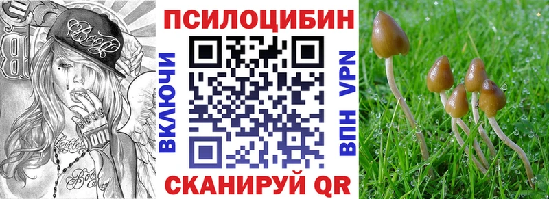 Купить закладки  Вытегра  Псилоцибиновые грибы мицелий 